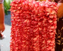Spring Fling Luau
