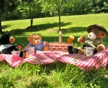 Teddy Bear Picnic